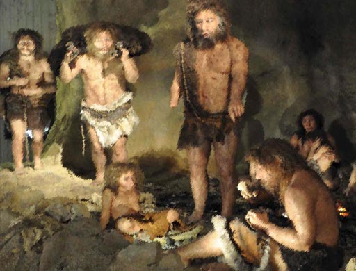 homo sapiens